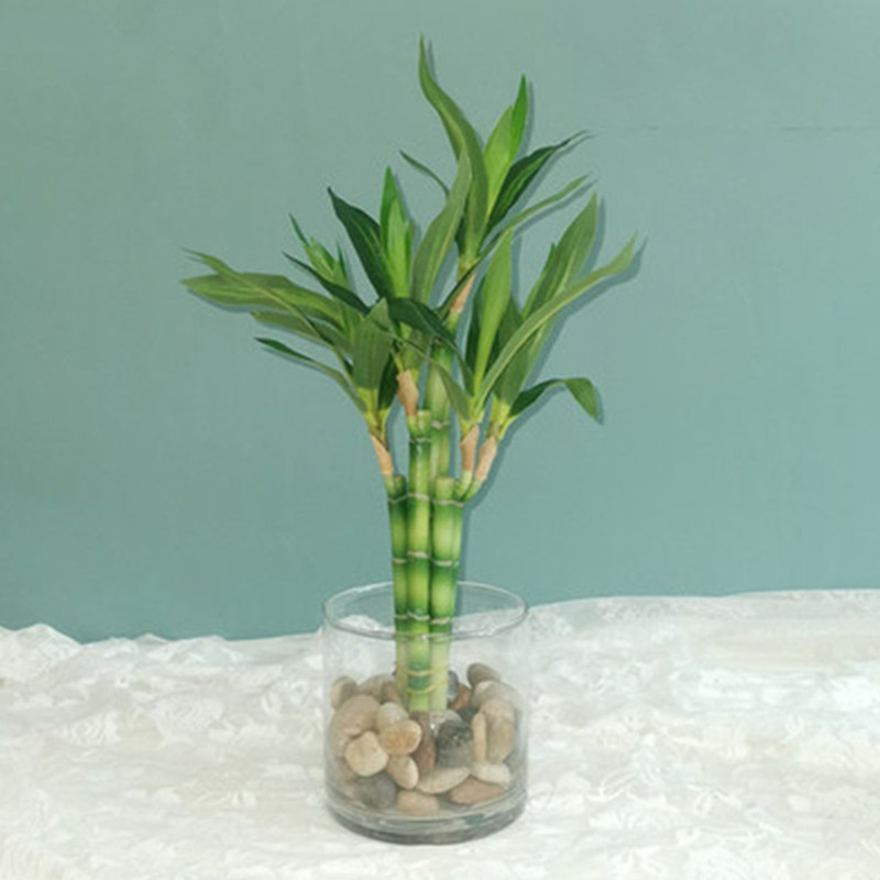 Desk Setup At Home - Nowa 40cm sztuczna roślina Lucky Bamboo,